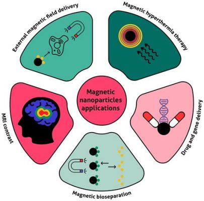  Magnetite Nanoparticle: La Rivoluzione Nanomagnetica per Applicazioni Biomediche?