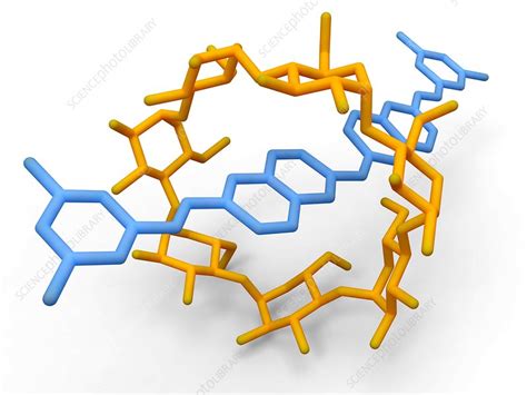  Rotaxani: Un Meccanismo Molecolare Per Nanoswitch e Farmaci Intelligenti!