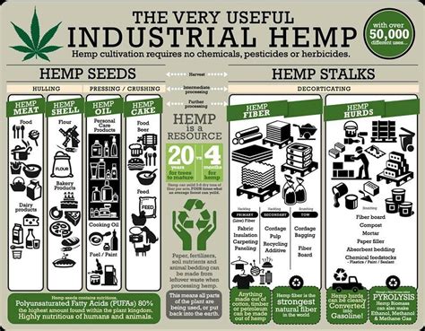  Is Industrial Hemp Really the Future of Sustainable Construction?