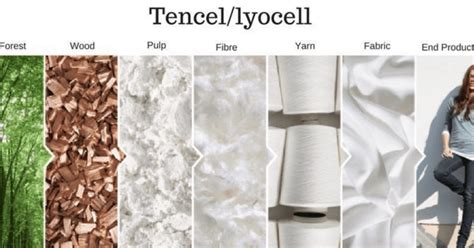 TENCEL™: Un Tesoro Botanico per L'industria Tessile e la Moda Sostenibile!